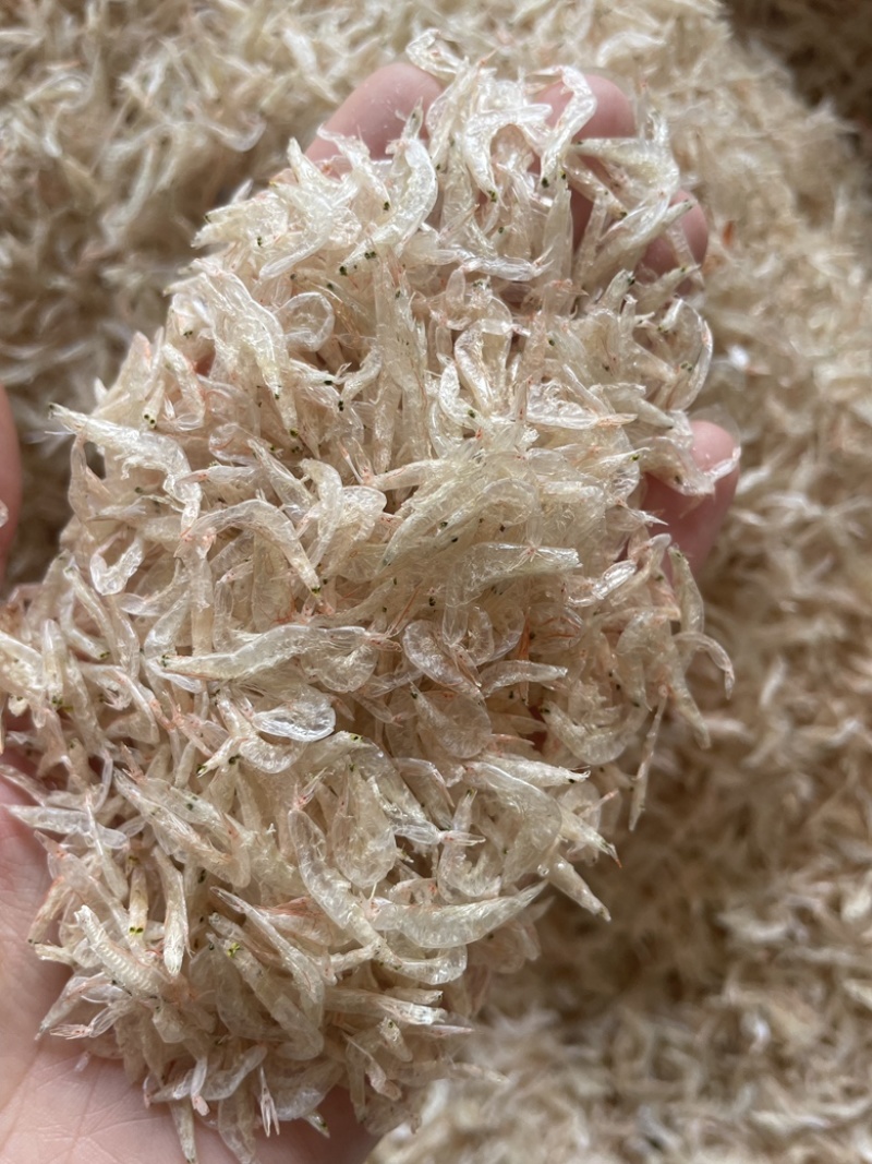 虾皮淡干无盐虾皮质量上乘干度纯干自然天晒虾皮