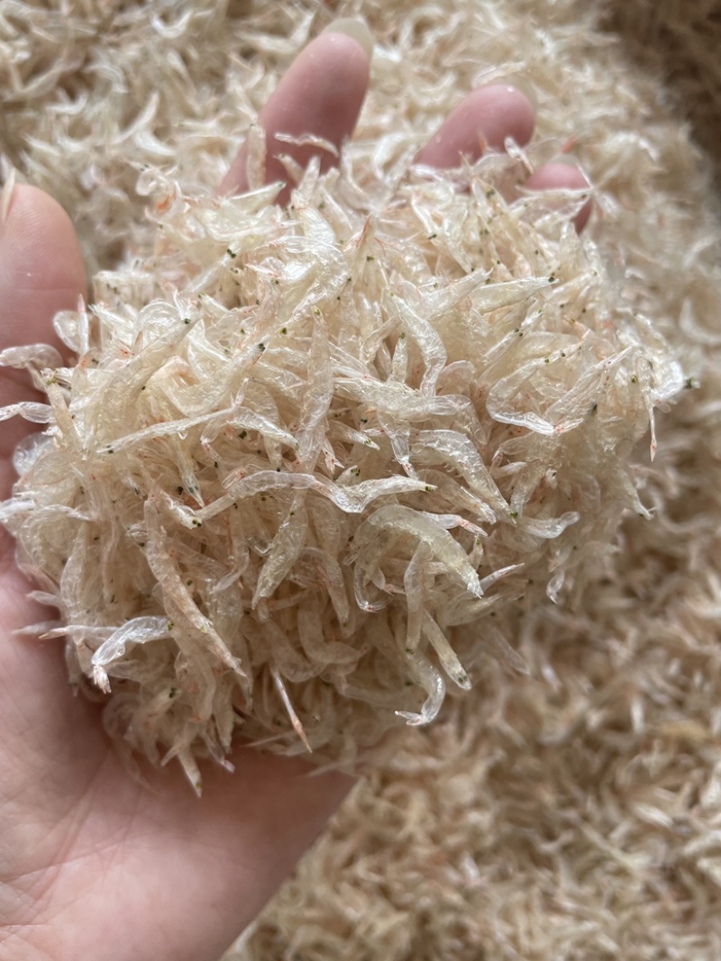 虾皮淡干无盐虾皮质量上乘干度纯干自然天晒虾皮