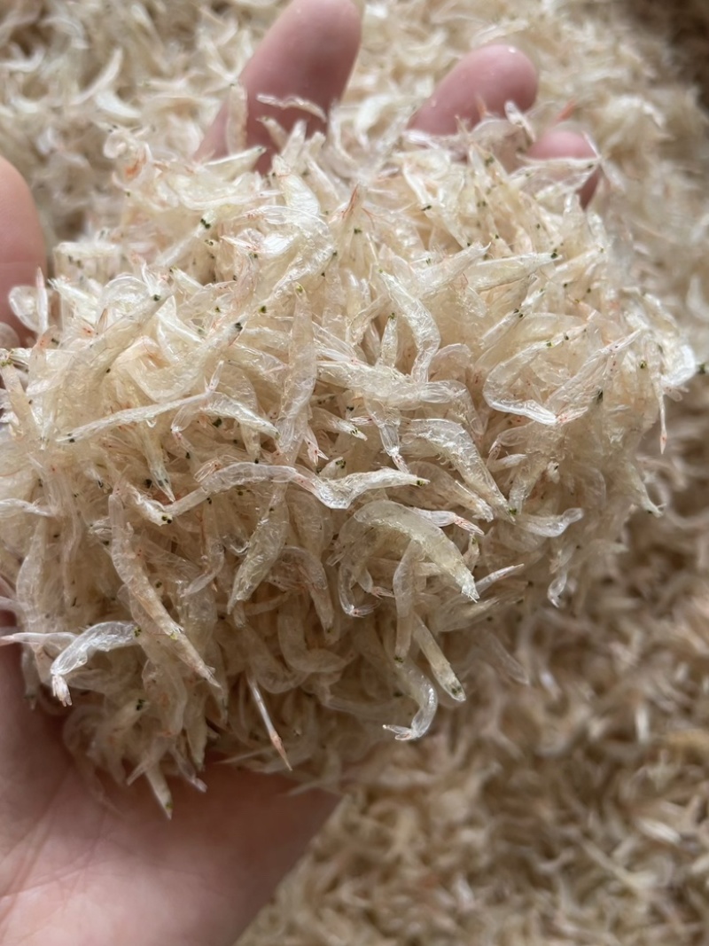 虾皮淡干无盐虾皮质量上乘干度纯干自然天晒虾皮