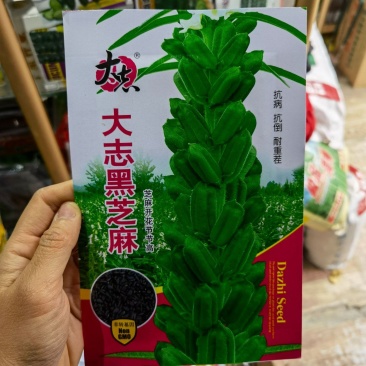 黑芝麻种子抗病抗倒耐重茬全生育期85天左右籽粒饱满
