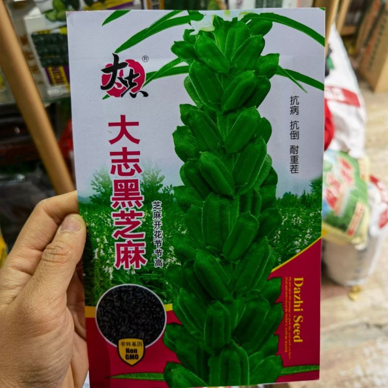 黑芝麻种子抗病抗倒耐重茬全生育期85天左右籽粒饱满