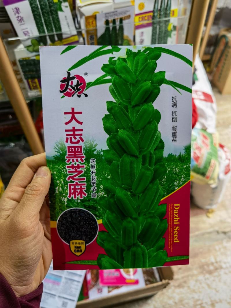 黑芝麻种子抗病抗倒耐重茬全生育期85天左右籽粒饱满