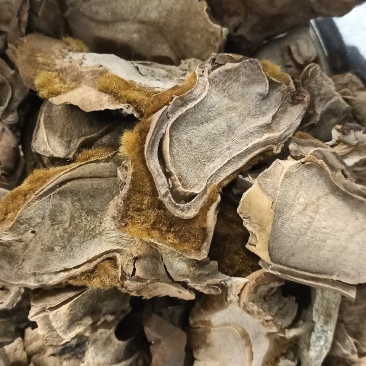 狗脊中药材狗脊无添加净货实物实拍