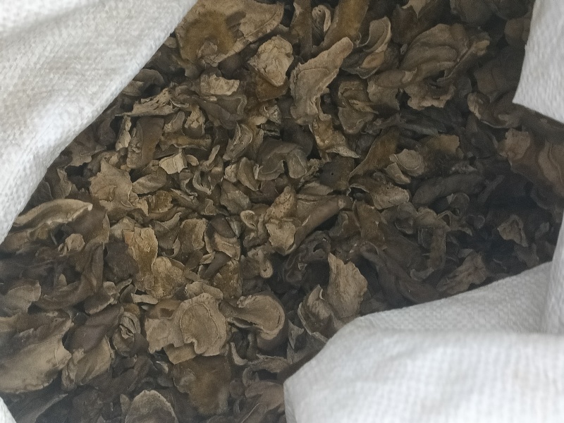 狗脊中药材狗脊无添加净货实物实拍