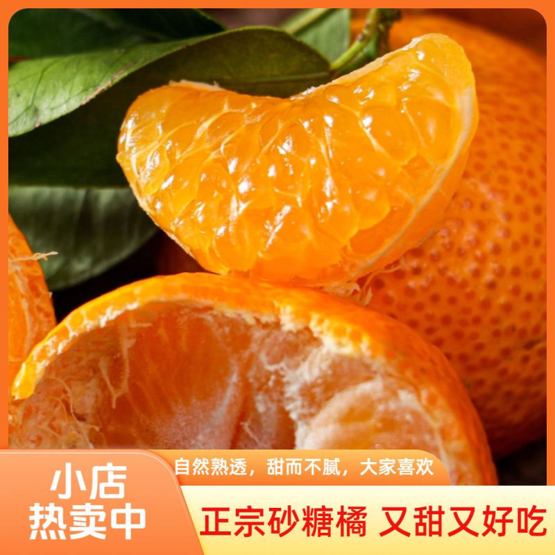 正宗广西砂糖沙糖桔当季新鲜柑橘水果桔子橘子薄皮蜜桔整箱包邮