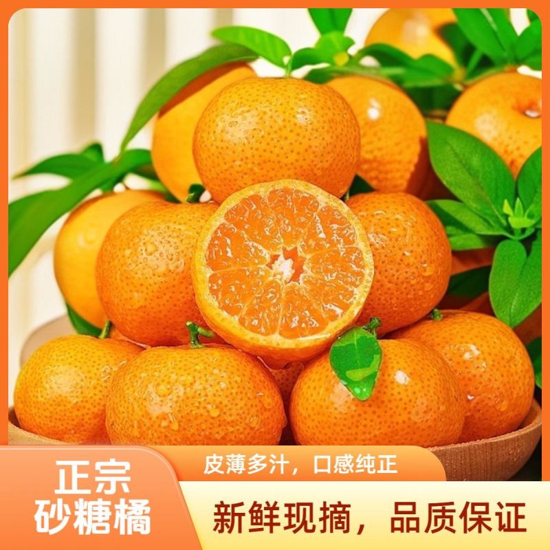 正宗广西砂糖沙糖桔当季新鲜柑橘水果桔子橘子薄皮蜜桔整箱包邮
