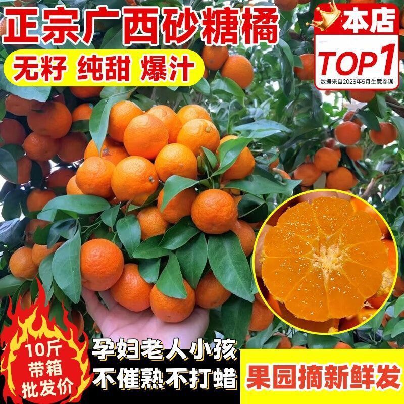 正宗广西砂糖沙糖桔当季新鲜柑橘水果桔子橘子薄皮蜜桔整箱包邮