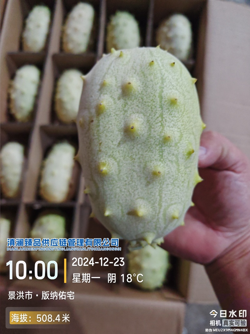 火参果
