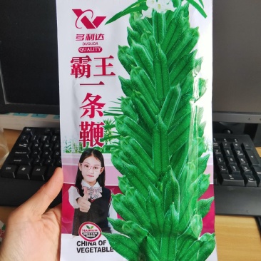 霸王一条鞭白芝麻种子中早熟单杆型抗重茬耐旱抗倒伏