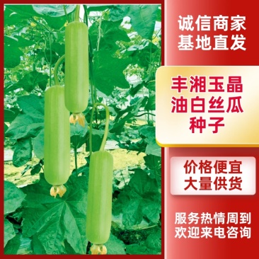 丰湘玉晶早熟芽率高连续坐果能力强抗病性好！