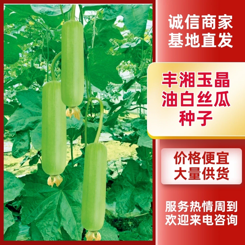 丰湘玉晶早熟芽率高连续坐果能力强抗病性好！