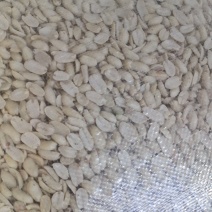 脱皮瓣米榨油精品;看得见的干净/尝得着的香甜觉得到的安全
