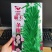 霸王一条鞭白芝麻种子中早熟单杆型抗重茬耐旱抗倒伏