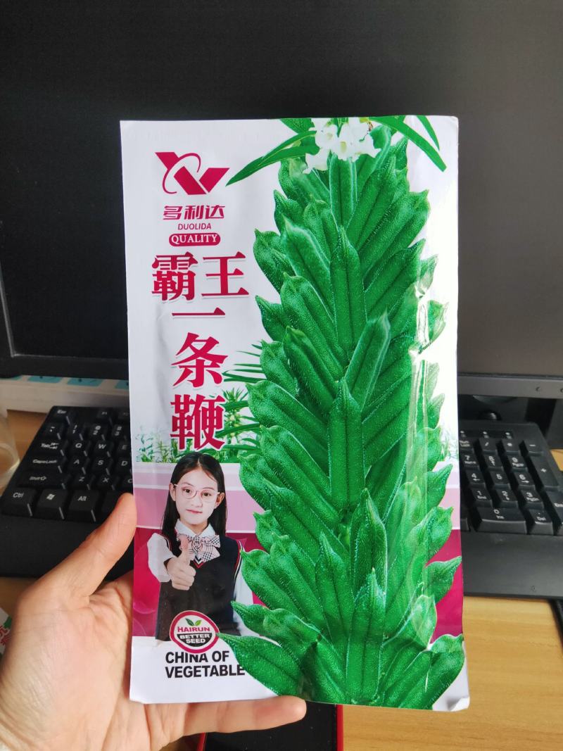 霸王一条鞭白芝麻种子中早熟单杆型抗重茬耐旱抗倒伏