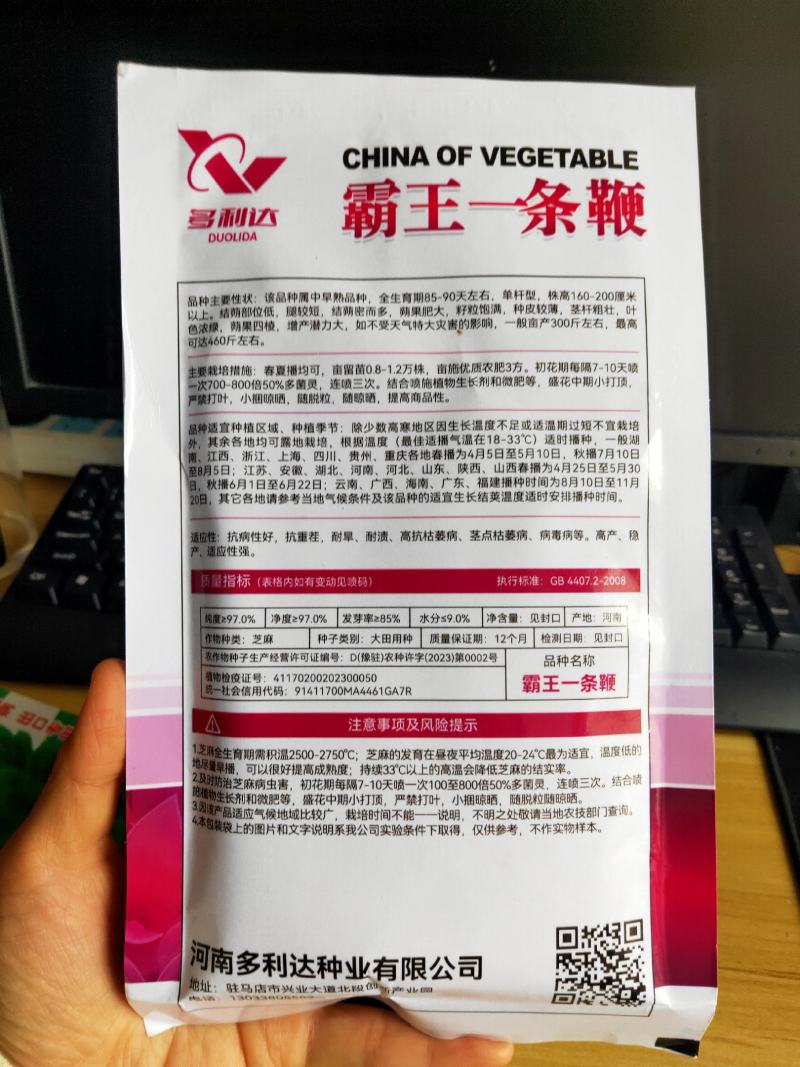 霸王一条鞭白芝麻种子中早熟单杆型抗重茬耐旱抗倒伏