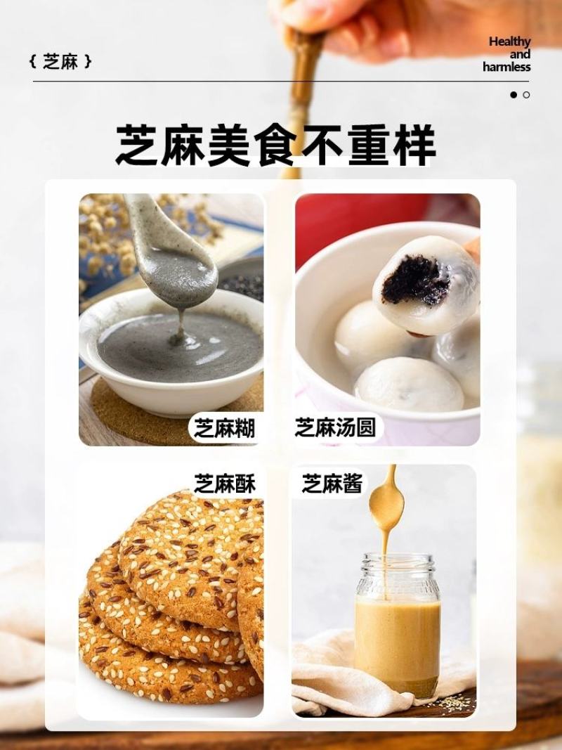 霸王一条鞭白芝麻种子中早熟单杆型抗重茬耐旱抗倒伏