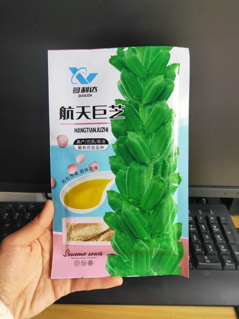 航天巨芝白芝麻种子香味浓郁中早熟春夏均可播种抗重茬耐旱