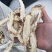 独活头片10号筛