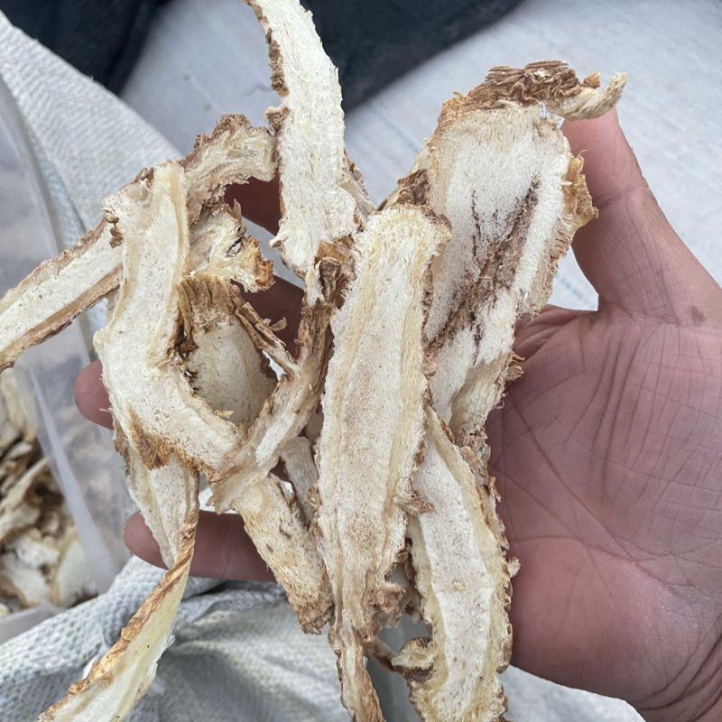独活头片10号筛