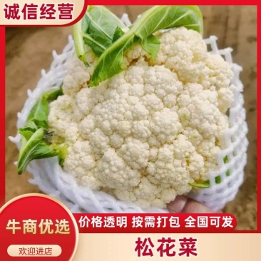 【精品】有机花菜，松花菜，产地直发，大量供应货源充足