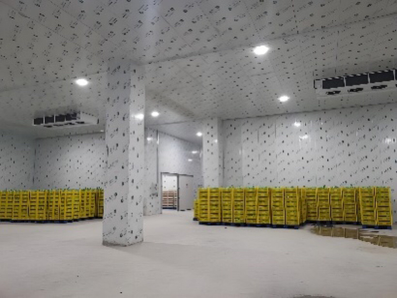 潮汕牛肉丸大量供应支持一件代发提供售后保障欢迎咨询