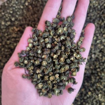 云南青花椒昭通青椒青麻椒青花椒香麻椒/一手货源