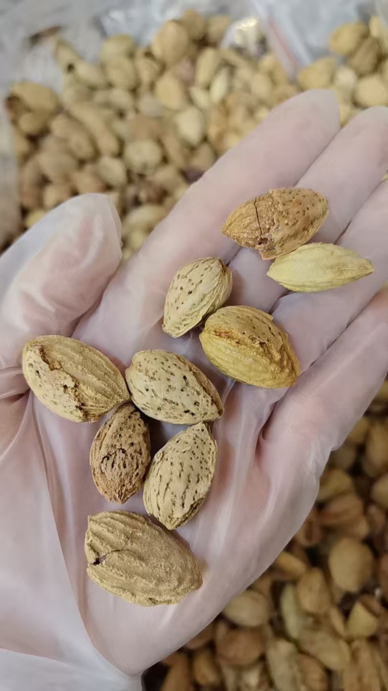 刀果果好一件代发
