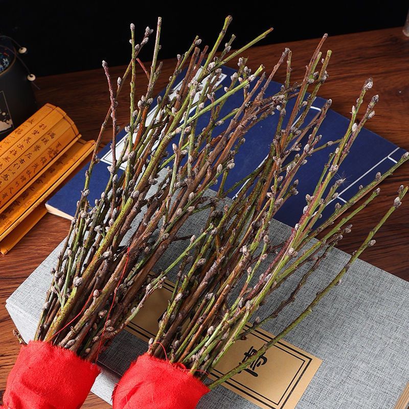 挑树枝切花遇水开花批发价雪柳银银柳腊梅玉兰花枝条电商