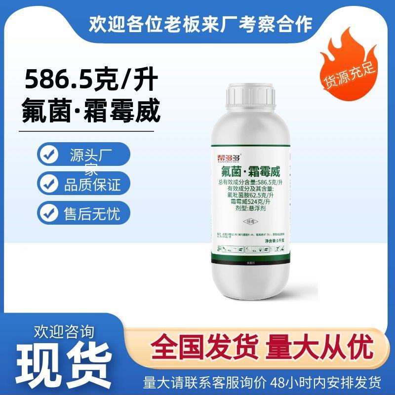 586.5克/升氟菌·霜霉威内吸性杀菌剂黄瓜霜霉病农药