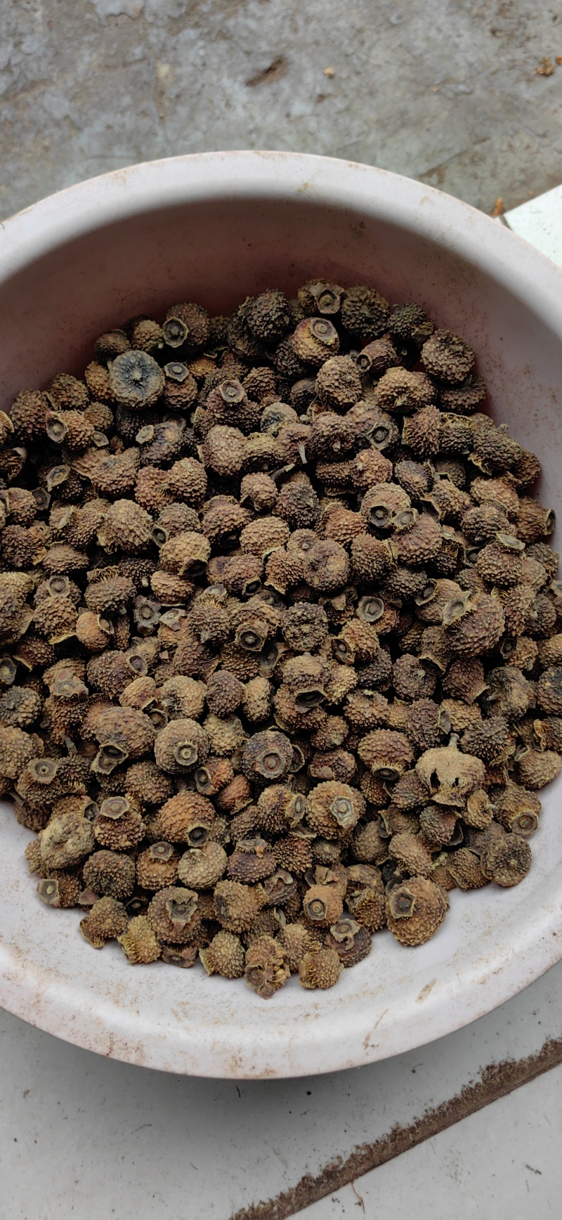 刺梨干果