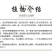 百日草厂家货源批发价格全国发货价格便宜欢迎下单咨询