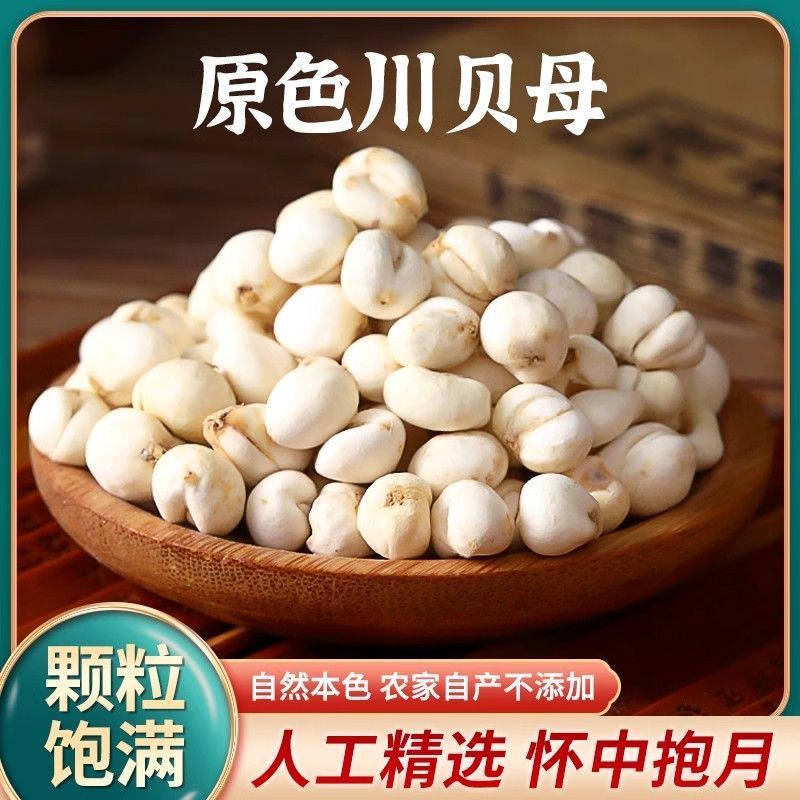 平贝母