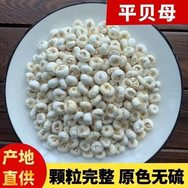 平贝母