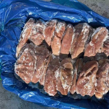 猪副产品熟猪肚冷冻食品猪肚猪付产品国产纯干货质优价廉去油