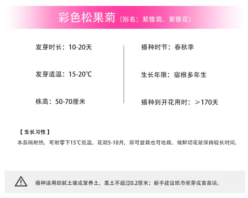 松果菊厂家货源批发价格全国发货价格便宜欢迎下单咨询