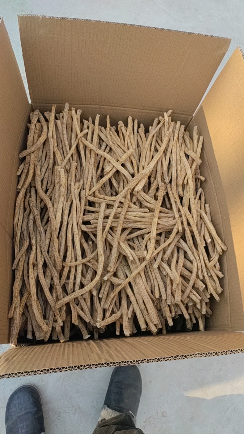陕西渭南防风产地直销一手货源量大从优欢迎选购
