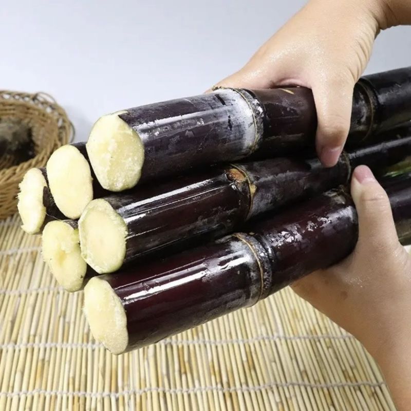 高山正宗黑皮甘蔗当季新鲜现砍整箱脆甜通用人群水果应季甜杆批F