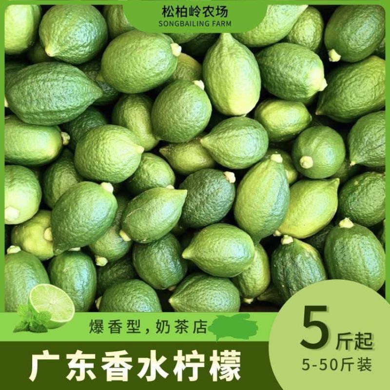 （全国零售包邮价）广东无籽香水柠檬二级果爆香型/清香多汁