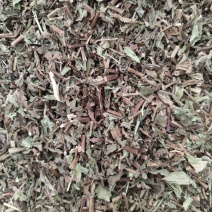 薄荷1公斤野生干薄荷泡水泡茶薄荷叶药用薄何