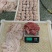 精选肚包羊肉，放心品质货真价实，吃的美味买的放心欢迎订购