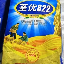 杂交水稻种子大全荃优822优质高产抗倒国审稻谷种原装正品
