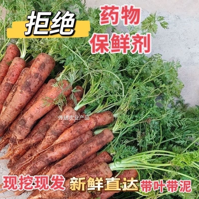 2024胡萝卜特价胡萝卜新鲜批发价新鲜创意礼品常规礼品盒/包