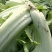 【精品】芥菜泡青菜产地直发一手货源品质保证量大优惠
