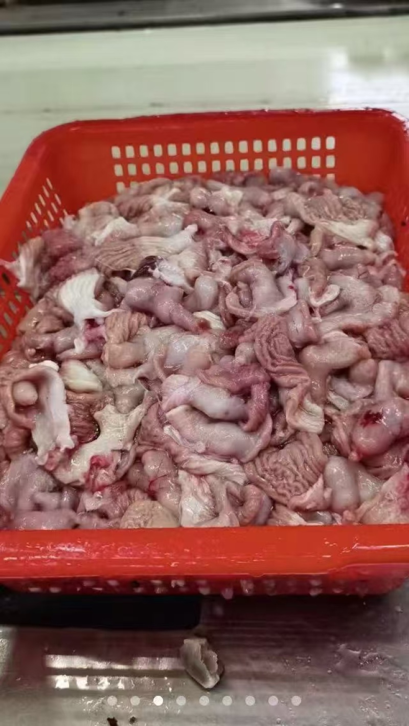 巴沙鱼肚北海产地直批常年大量有货
