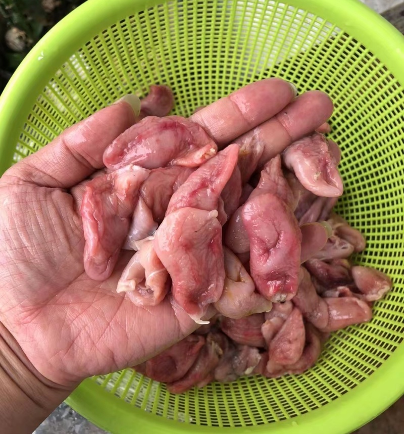 巴沙鱼肚北海产地直批常年大量有货