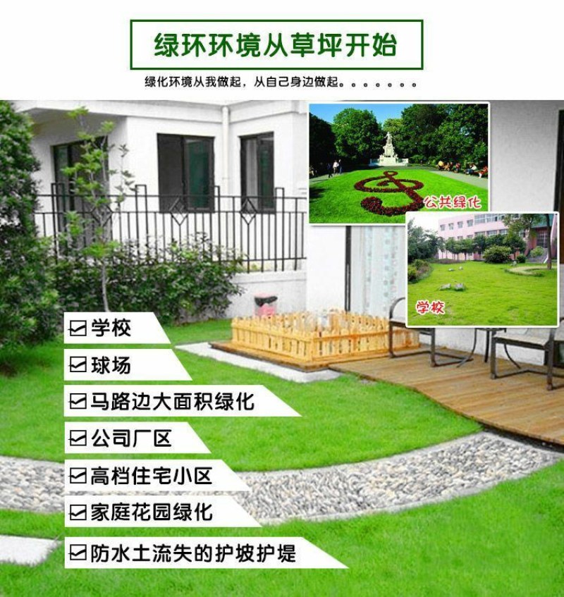 狗牙根草籽矮生百慕大纯进口草坪种子耐践踏免修剪护坡固土