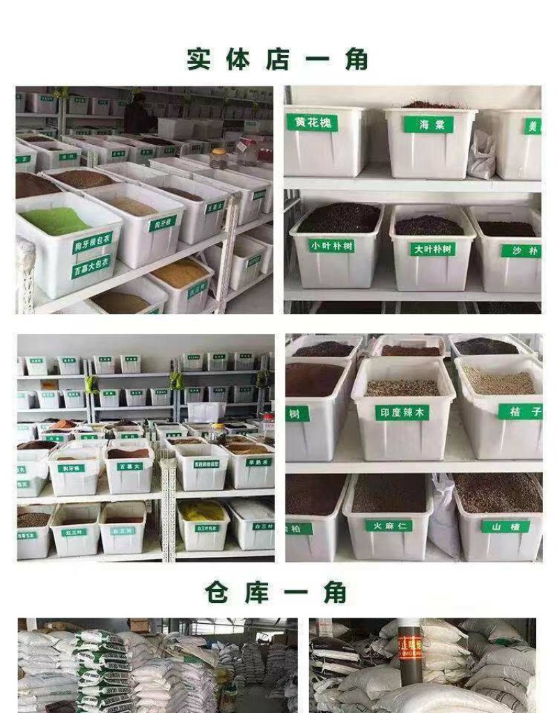 狗牙根草籽矮生百慕大纯进口草坪种子耐践踏免修剪护坡固土