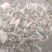 自种自销，量大质优欢迎新老朋友莅临指导，采购