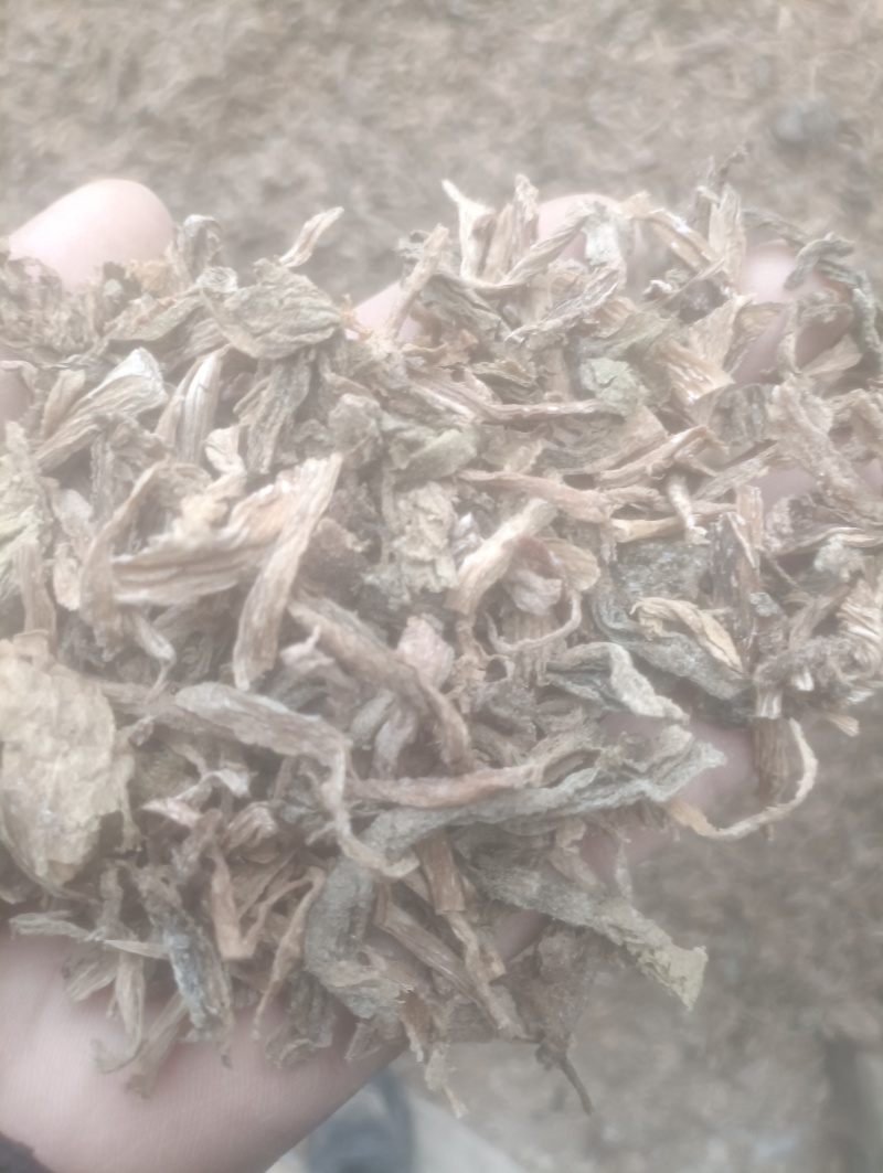 自种自销，量大质优欢迎新老朋友莅临指导，采购