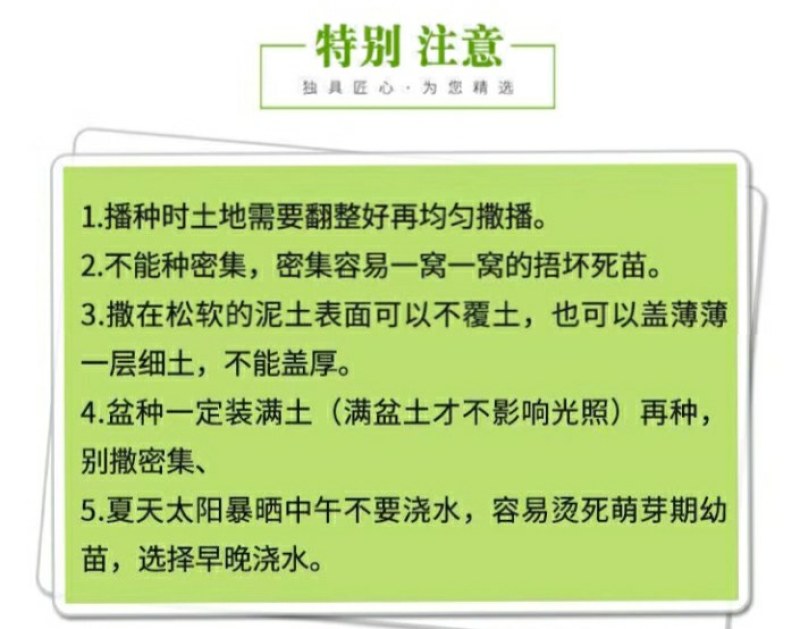 重瓣太阳花种子花种籽子四季播种开花混色阳台花籽易种活盆栽